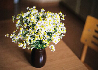 詩(shī)意說(shuō)說(shuō)帶圖片5