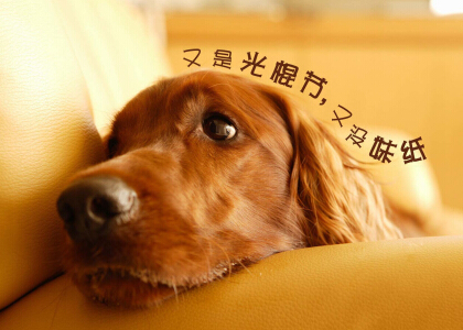 光棍節(jié)說說帶圖片，光棍節(jié)圖片說說大全