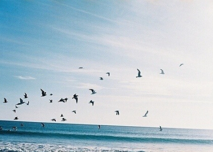 悲傷的說(shuō)說(shuō)帶圖片1