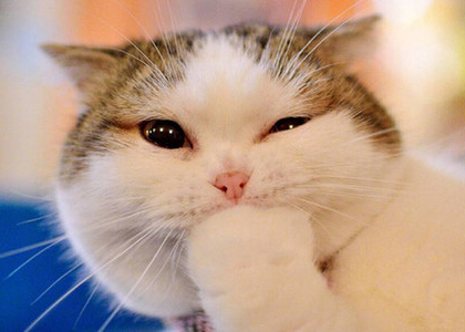 最新微信點開全文段子，朋友圈點開全文搞笑段子