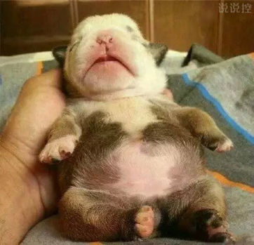 搞笑的說說句子