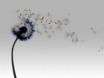 空間經(jīng)典說說帶圖片4