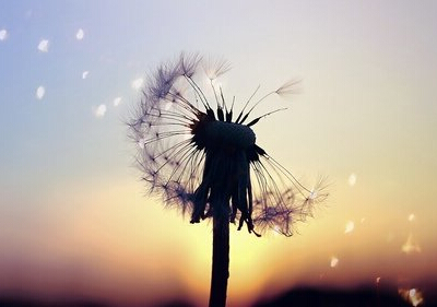 青春勵(lì)志說說帶圖片5