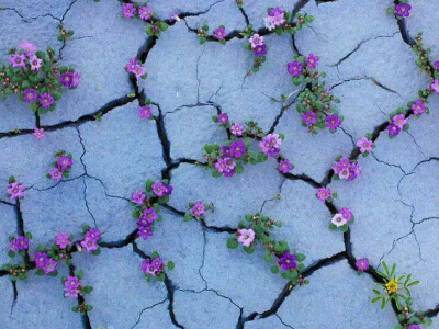 青春勵(lì)志說說帶圖片6