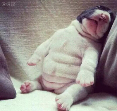 經(jīng)典搞笑的QQ說說