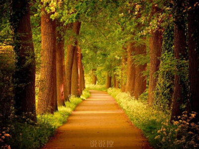 最有道理的說說帶圖片，有道理的文字說說帶圖片5