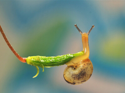 最有道理的說說帶圖片，有道理的文字說說帶圖片7