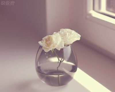 QQ唯美說說帶圖片1