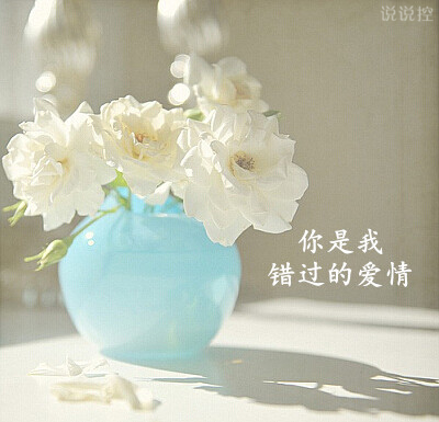 愛(ài)情說(shuō)說(shuō)大全帶圖片7