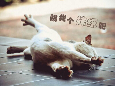 搞笑說(shuō)說(shuō)大全帶圖片6