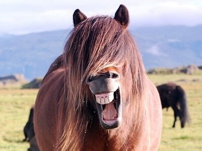 微信搞笑說說點(diǎn)開全文，QQ空間說說展開全文