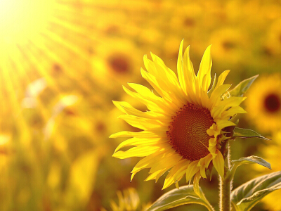 勵(lì)志說說致自己帶圖片6