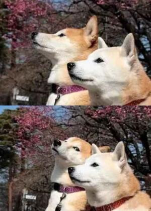 最適合發(fā)說說的圖片，適合寫說說的圖片大全5