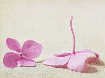 傷感唯美說說帶圖片，唯美傷感的句子圖片7