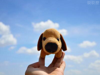 關(guān)于單身狗的說說，單身狗搞笑說說