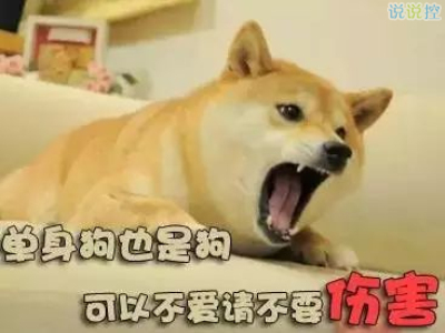 關(guān)于單身狗的說說，單身狗搞笑說說