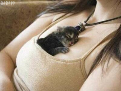 搞笑內(nèi)涵段子，史上最牛的內(nèi)涵段子