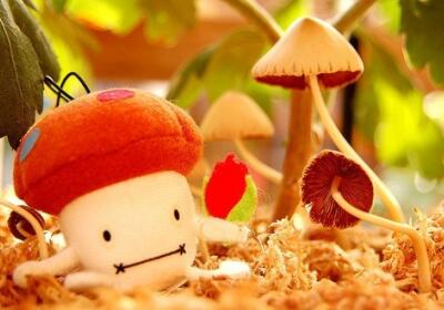 超級搞笑的說說，超級搞笑的段子