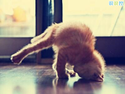 哲理英文說(shuō)說(shuō)帶圖片，哲理英文句子帶翻譯1