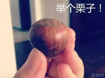 最搞笑的說說帶圖片，2017搞笑說說帶圖片4