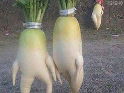 QQ空間搞笑說說 QQ空間搞笑說說