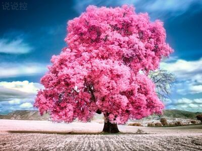 傷感唯美圖片說說，唯美傷感說說配圖6