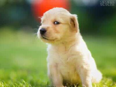 逗比的說(shuō)說(shuō)帶圖片，逗比說(shuō)說(shuō)配圖