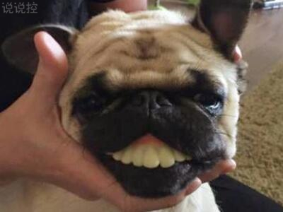 空間爆笑說(shuō)說(shuō)