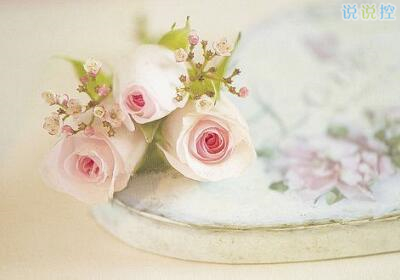 最傷感的說說帶圖片7