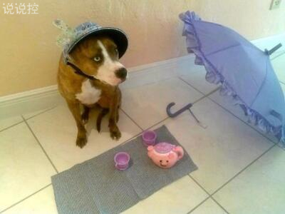 搞笑說說笑死人，笑死不償命的說說