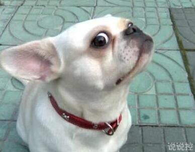 搞笑的說說句子