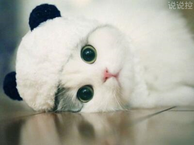 經(jīng)典搞笑語(yǔ)錄，經(jīng)典搞笑句子