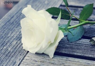 有意境說(shuō)說(shuō)帶圖片，意境說(shuō)說(shuō)配圖片6