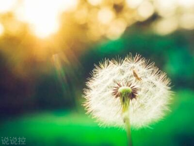 經(jīng)典語句帶圖片，經(jīng)典語錄圖片大全2