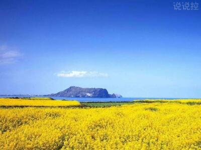 2018經(jīng)典句子帶圖片，經(jīng)典句子配圖1