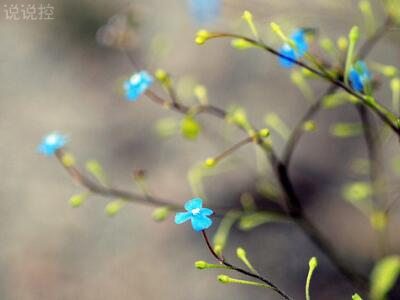2018經(jīng)典句子帶圖片，經(jīng)典句子配圖5