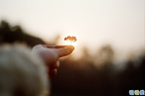 2019情人節(jié)簡單暖心的愛情說說句子 情人節(jié)愛的寄語情侶之間1