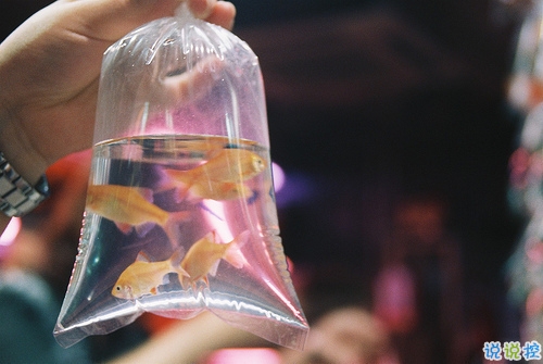 一個(gè)人被愛(ài)情傷透了的說(shuō)說(shuō) 被感情傷害的說(shuō)說(shuō)心情短語(yǔ)1