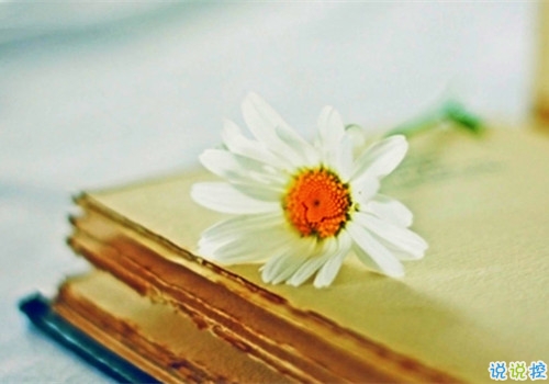 姑娘，我有15句悄悄話說給你聽。3