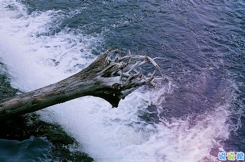 我們一路走來都很堅強的勵志說說帶圖片 很正能量的經(jīng)典勵志說說14