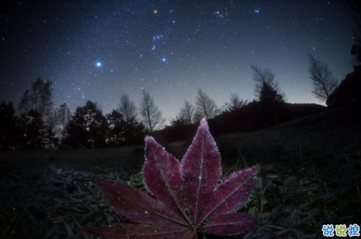 2019干凈唯美的說說帶圖片 最優(yōu)美好聽的朋友圈唯美說說2