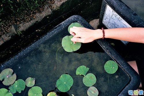 表達(dá)愛意的唯美句子配圖 肯定能打動(dòng)你心的唯美說說帶圖片11