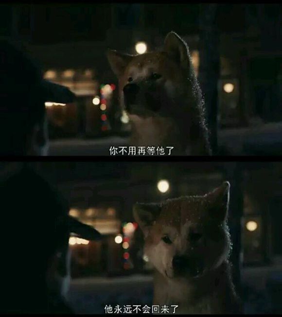 那些年讓你心動(dòng)的電影經(jīng)典語錄圖片 說說你喜歡的電影經(jīng)典臺(tái)詞3