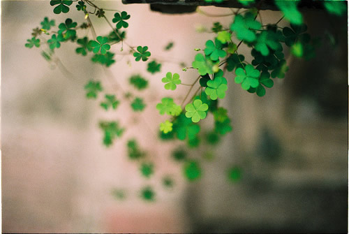 很勵志正能量的早安心語說說帶圖片11