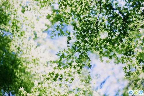 心好累的傷感說(shuō)說(shuō)非主流帶圖片 喜歡一個(gè)人卻得不到的悲傷說(shuō)說(shuō)12