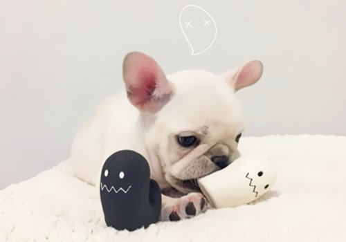 可以戳中中你笑點(diǎn)的搞笑說說帶圖片12