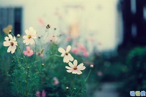 失去一個(gè)人的傷感說(shuō)說(shuō)帶圖片 感到傷心的難過(guò)句子2019最新1