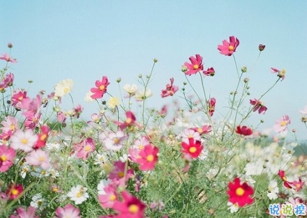 2019新年說(shuō)說(shuō)傷感一個(gè)人過(guò) 新年感到孤獨(dú)的傷感說(shuō)說(shuō)句子1