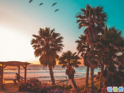 男生朋友圈晚安說(shuō)說(shuō)配圖簡(jiǎn)短 qq男生晚安說(shuō)說(shuō)大全13