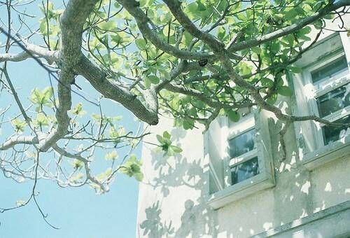 關(guān)于成長人生和愛情的美到讓人心碎的說說帶圖片10